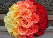 Базовые курсы флористики